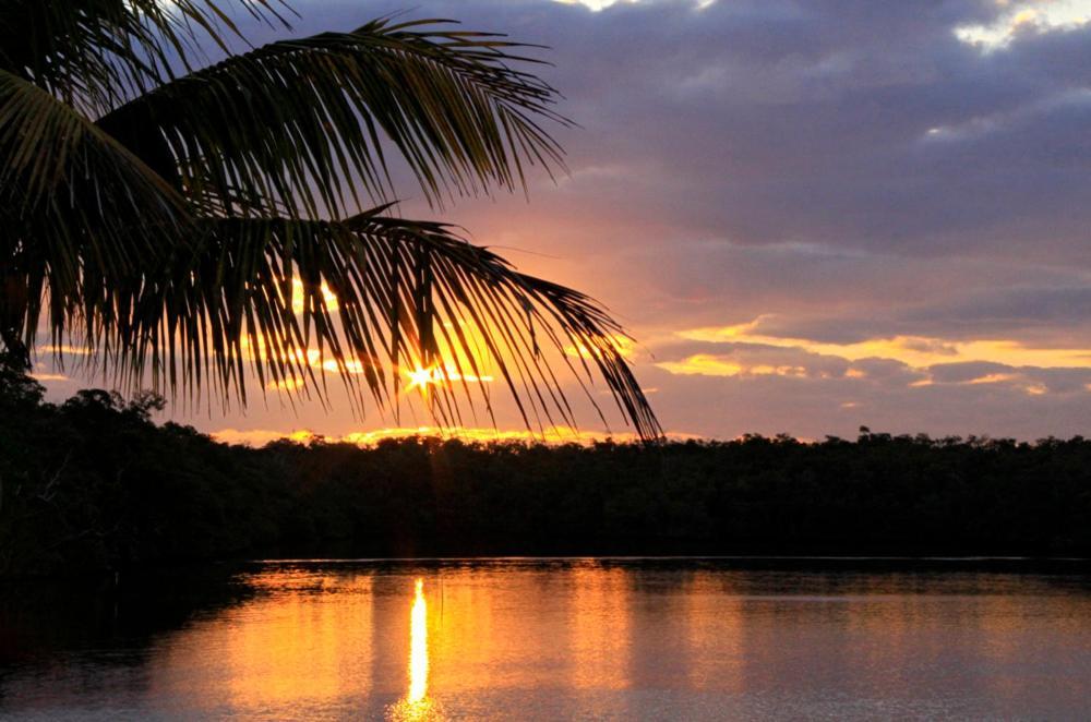 River Wilderness Waterfront Cabins Everglades City Εξωτερικό φωτογραφία